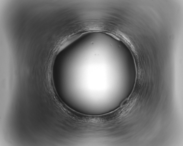 X0000096720385200802051447