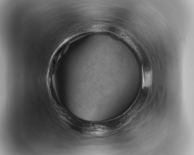 X0000096720387200802051447