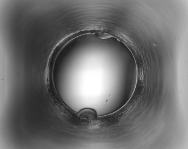 X0000096720388200802051447