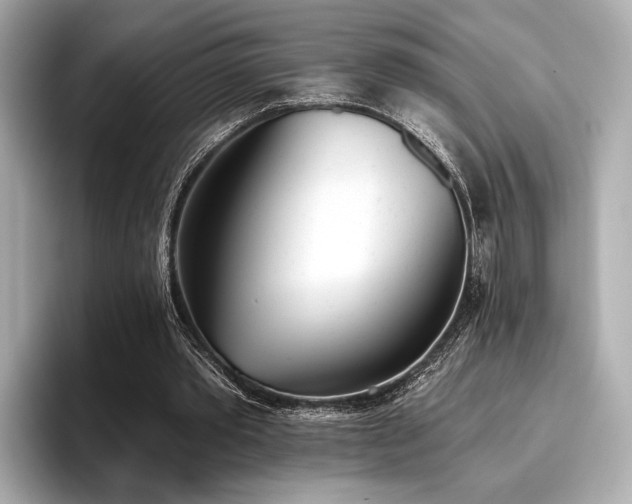X0000096720389200802051447