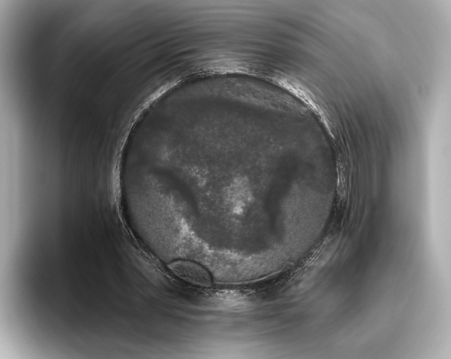 X0000096720390200802051447