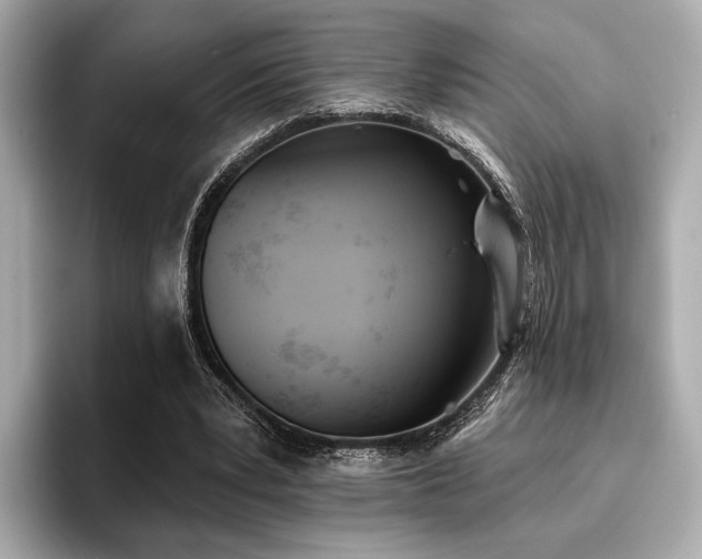 X0000096720391200802051447