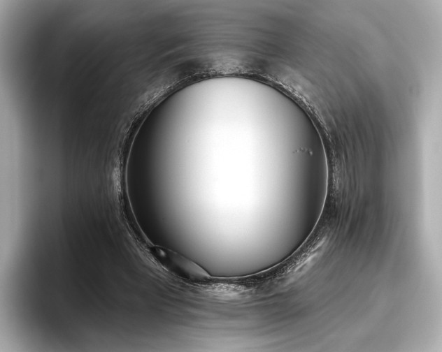 X0000096720393200802051447