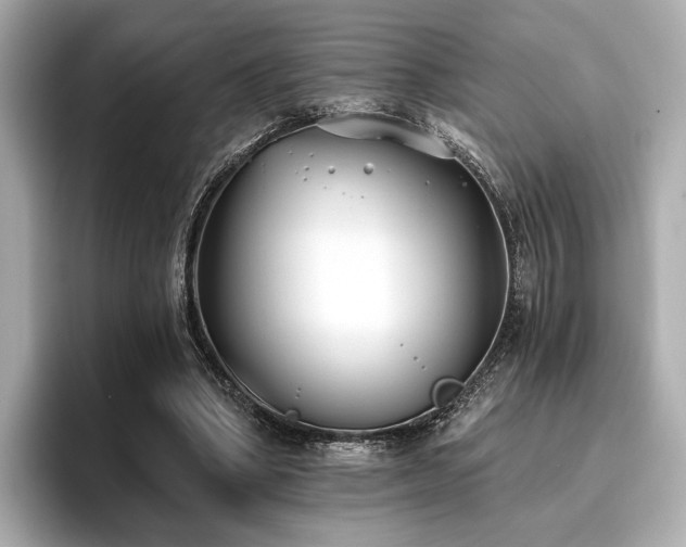 X0000096720394200802051447