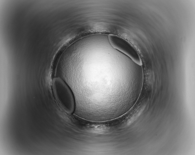 X0000096720395200802051447