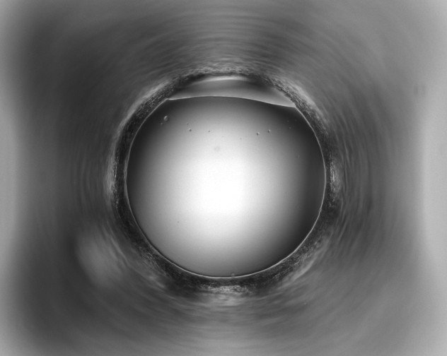 X0000096720396200802051447