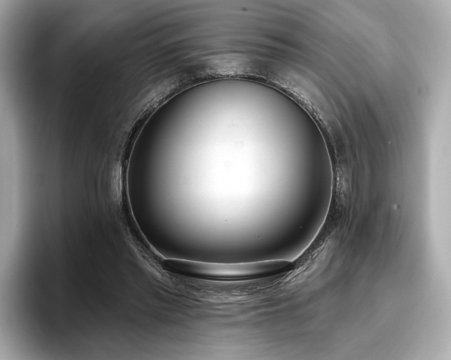 X0000096720397200802051447