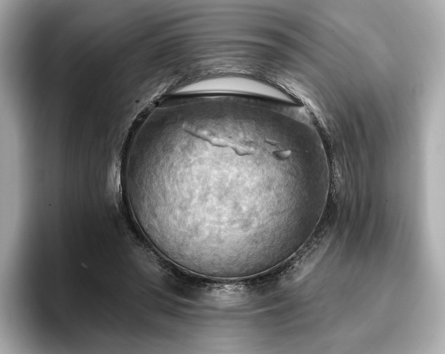 X0000096720398200802051447
