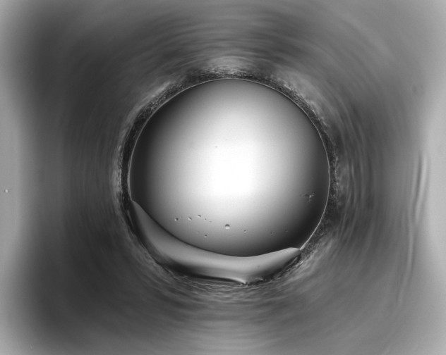 X0000096720399200802051447