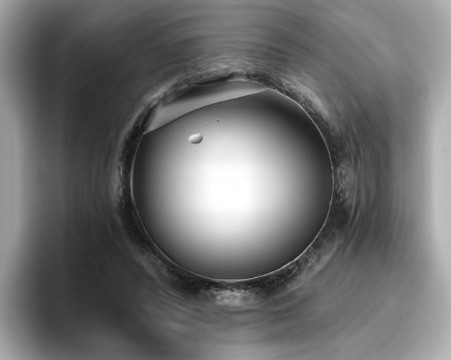 X0000096720400200802051447
