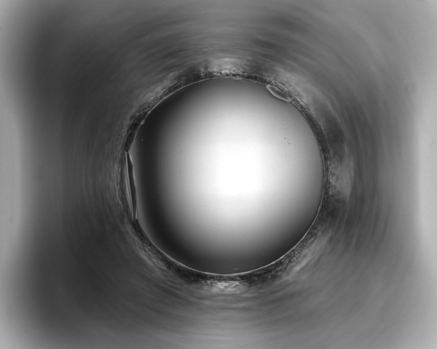 X0000096720401200802051447