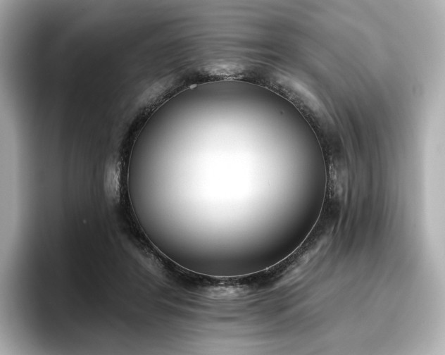X0000096720404200802051447