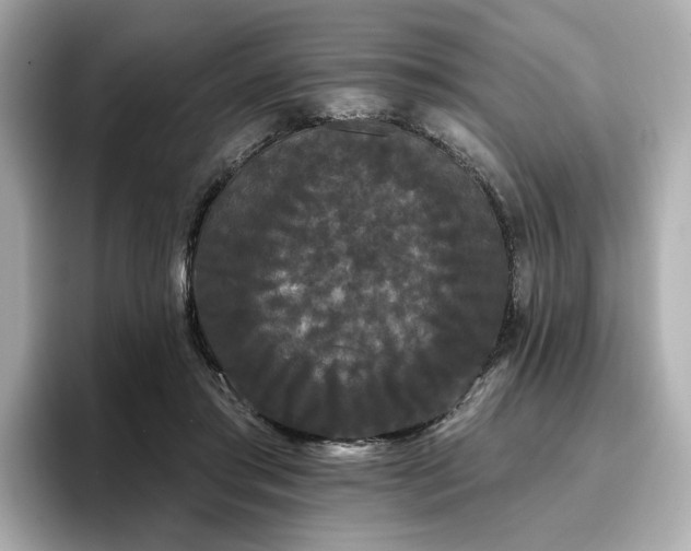 X0000096720405200802051447