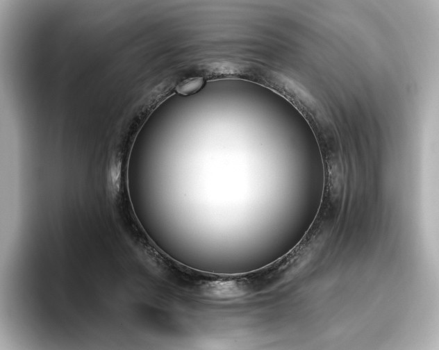 X0000096720406200802051447