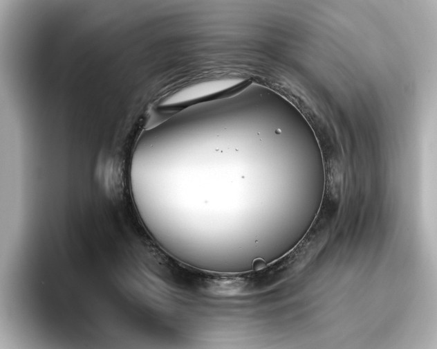 X0000096720410200802051447