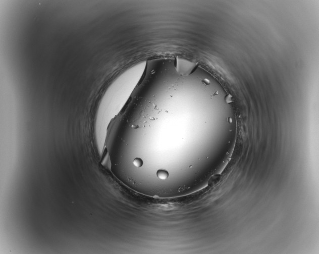 X0000096720411200802051447