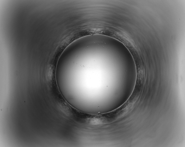 X0000096720412200802051447
