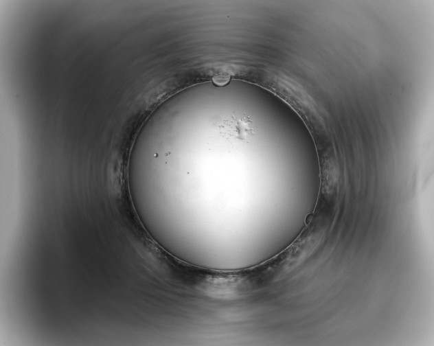 X0000096720414200802051447
