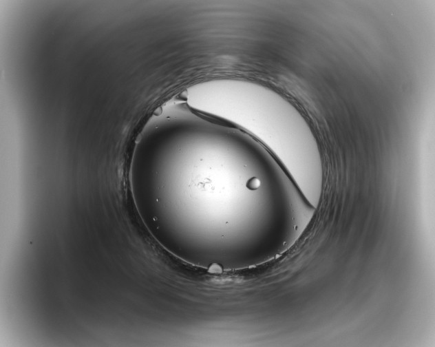 X0000096720415200802051447