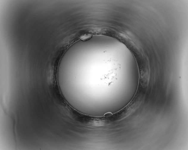 X0000096720416200802051447