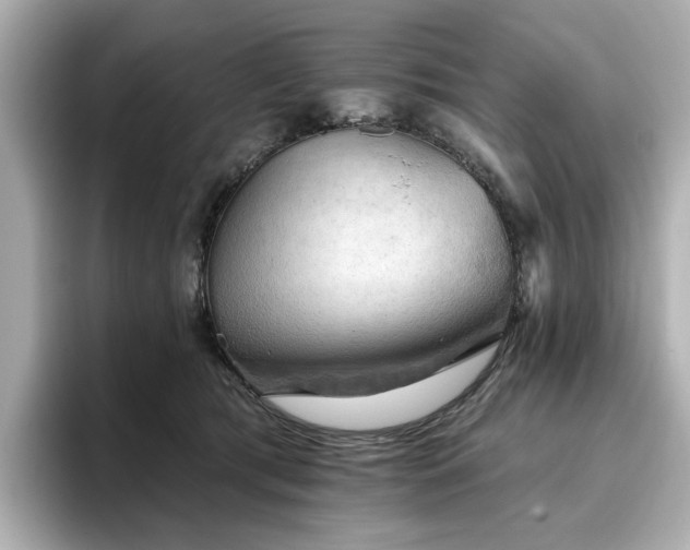 X0000096720417200802051447