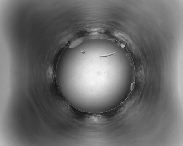 X0000096720420200802051447