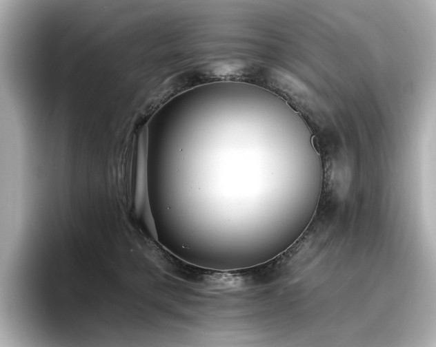 X0000096720421200802051447