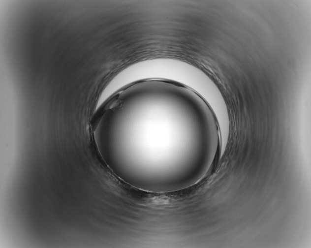 X0000096720423200802051446