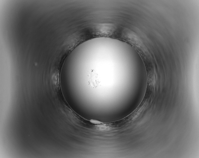 X0000096720425200802051446