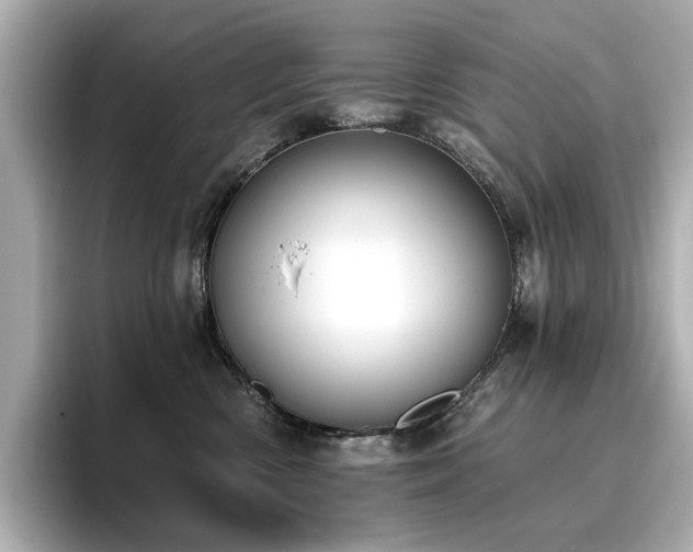 X0000096720426200802051446