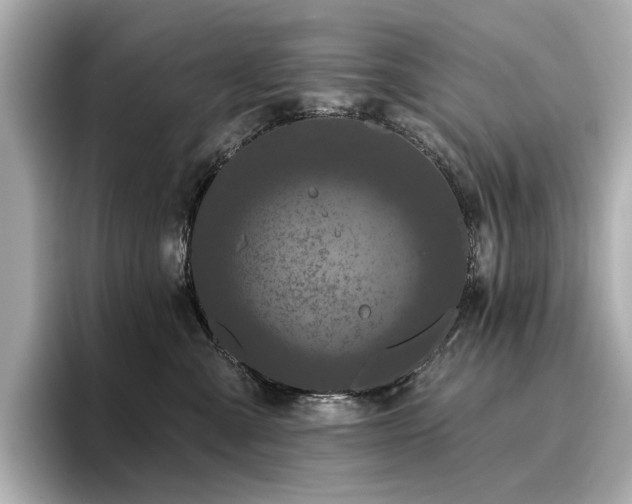 X0000096720427200802051446