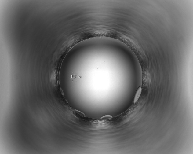 X0000096720428200802051446