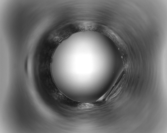 X0000096720429200802051446