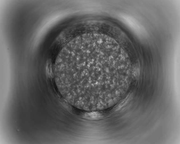 X0000096720431200802051446
