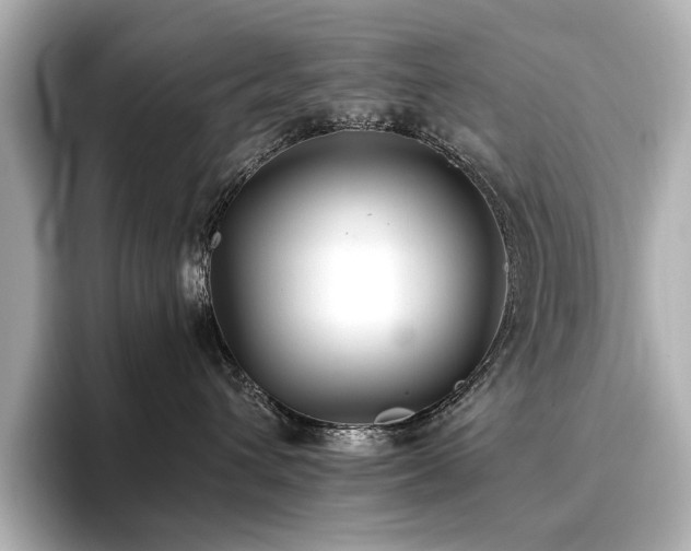 X0000096720432200802051446