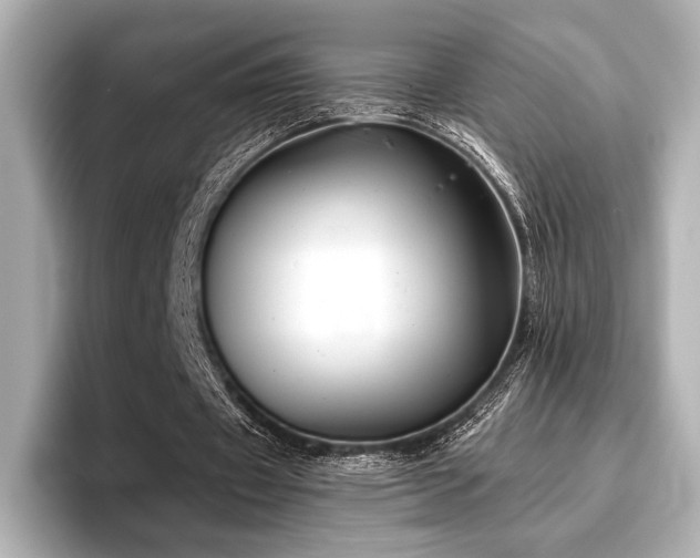 X0000096720433200802051446