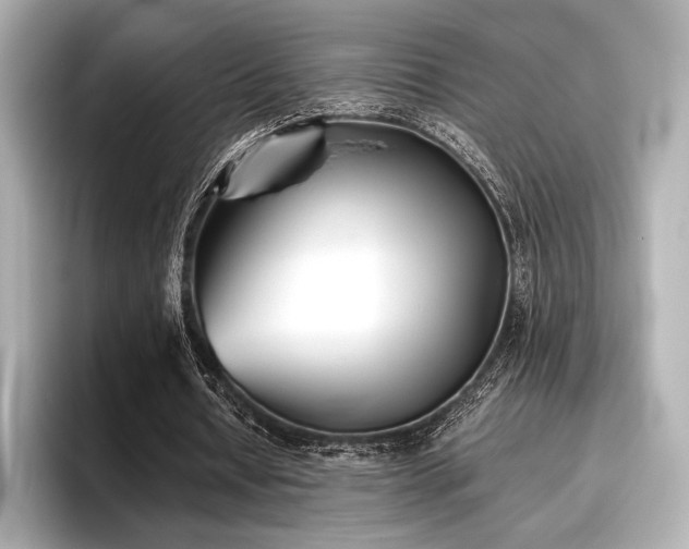 X0000096720434200802051446