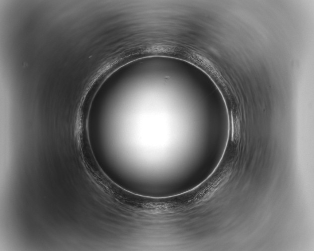 X0000096720435200802051446