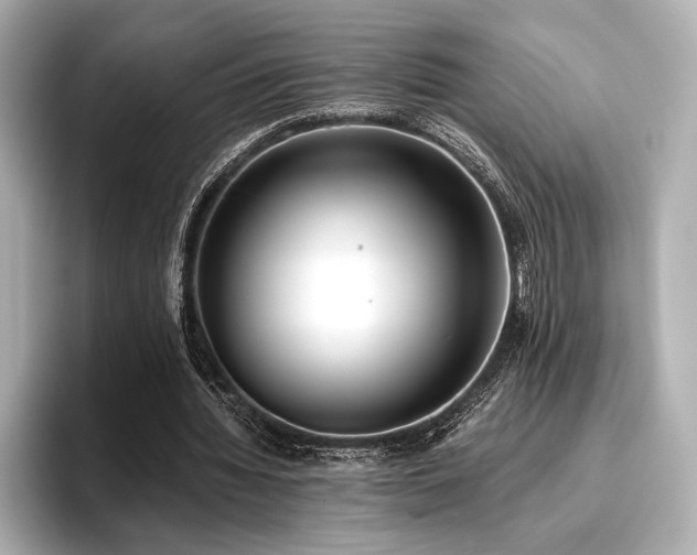 X0000096720436200802051446