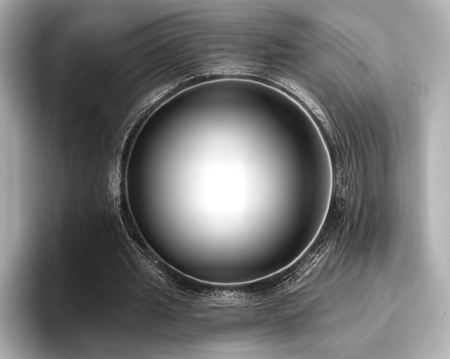 X0000096720437200802051446