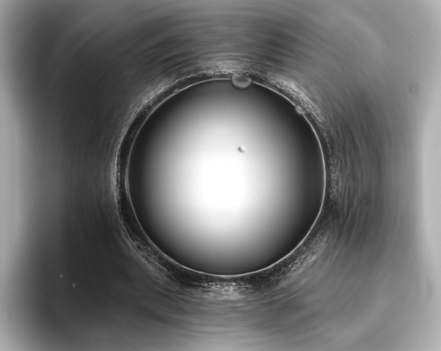 X0000096720439200802051446