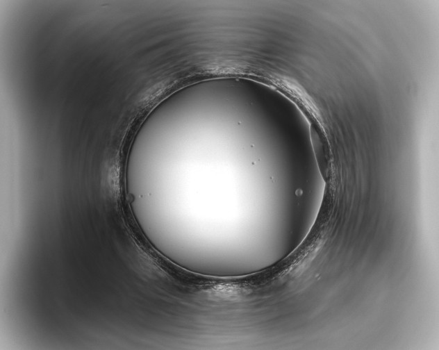 X0000096720441200802051446