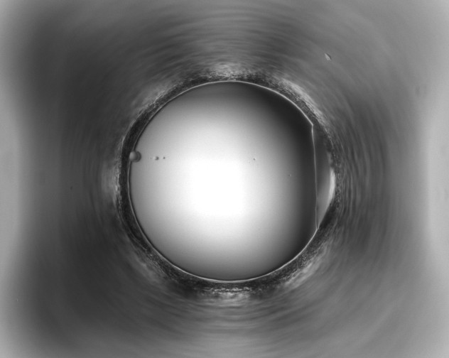 X0000096720443200802051446