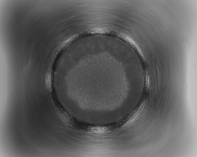 X0000096720444200802051446