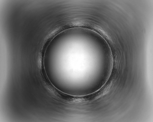 X0000096720446200802051446