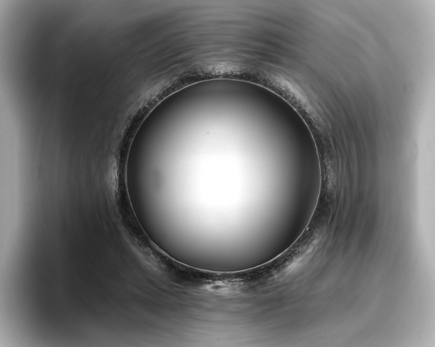 X0000096720447200802051446