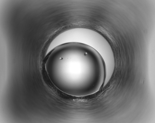 X0000096720448200802051446