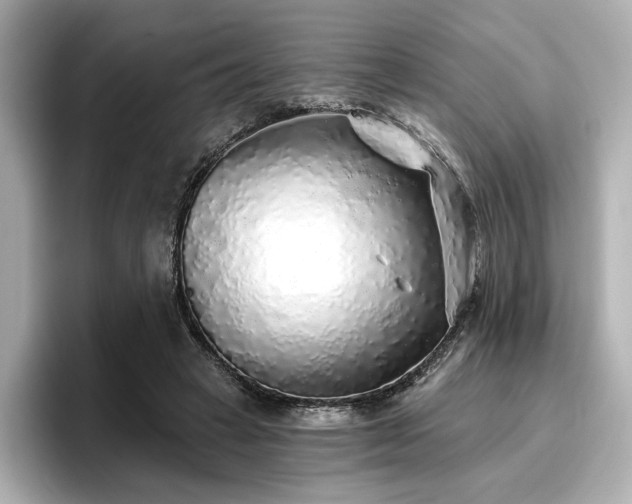 X0000096720449200802051446