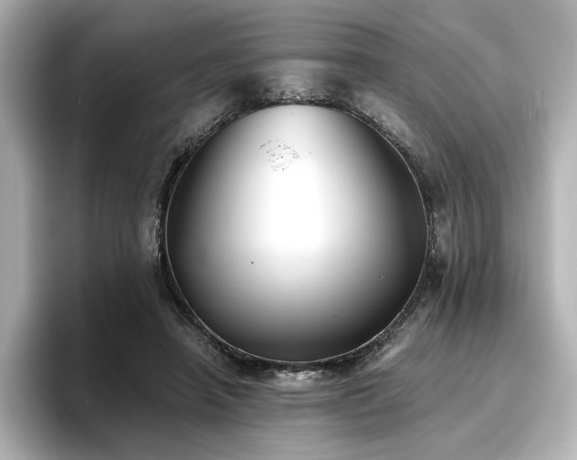 X0000096720450200802051446