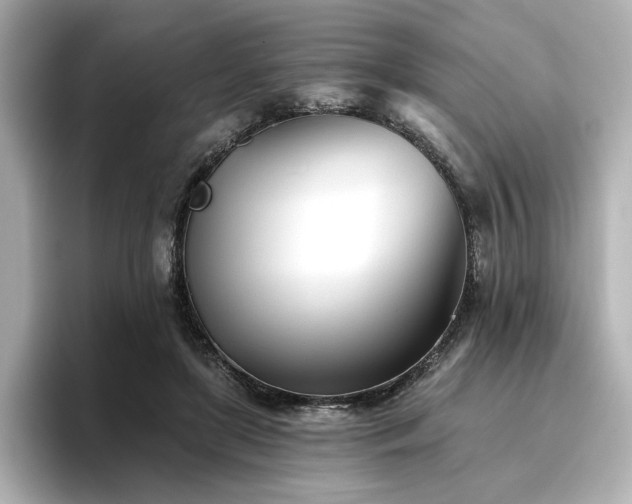 X0000096720451200802051446